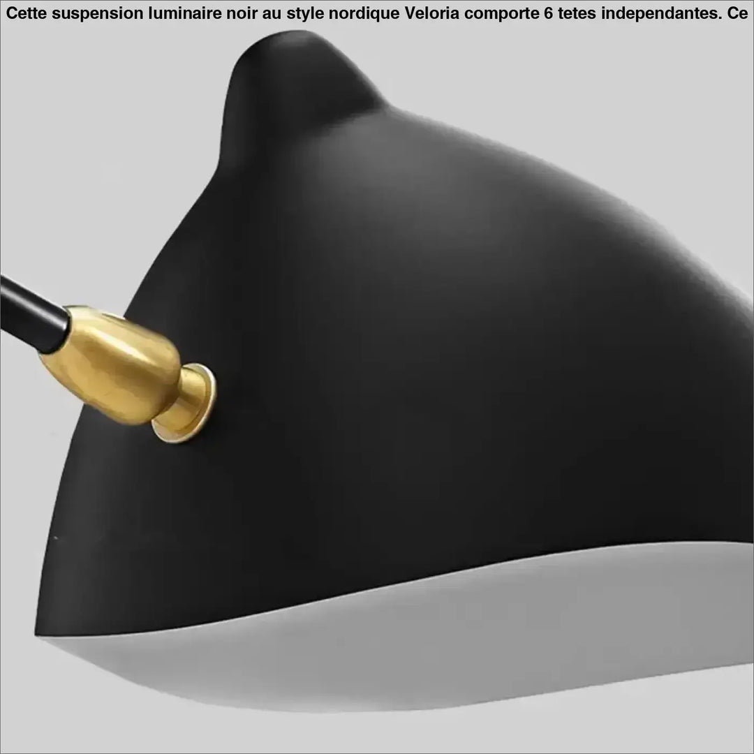 Suspension luminaire noir au style nordique à 6 têtes indépendantes


