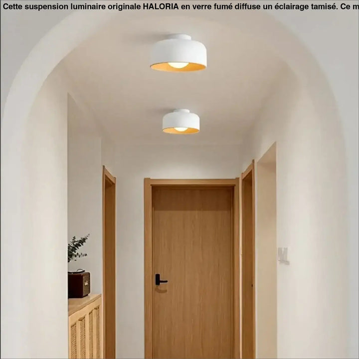 Plafonnier rond avec intérieur bois design moderne chic