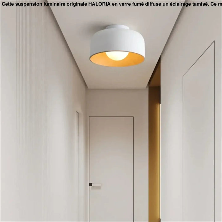 Plafonnier rond avec intérieur bois design moderne chic