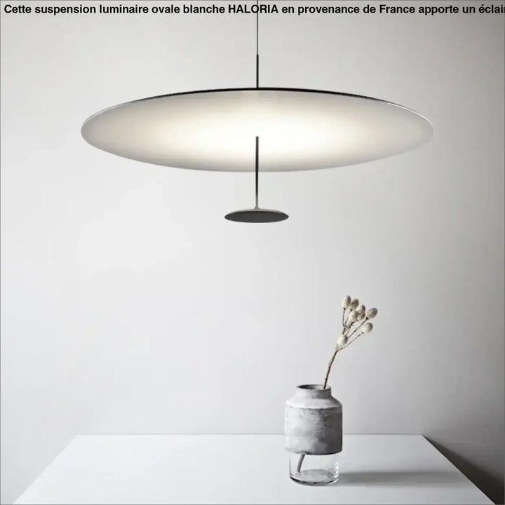 Suspension Luminaire Ovale Blanche Moderne En Aluminium