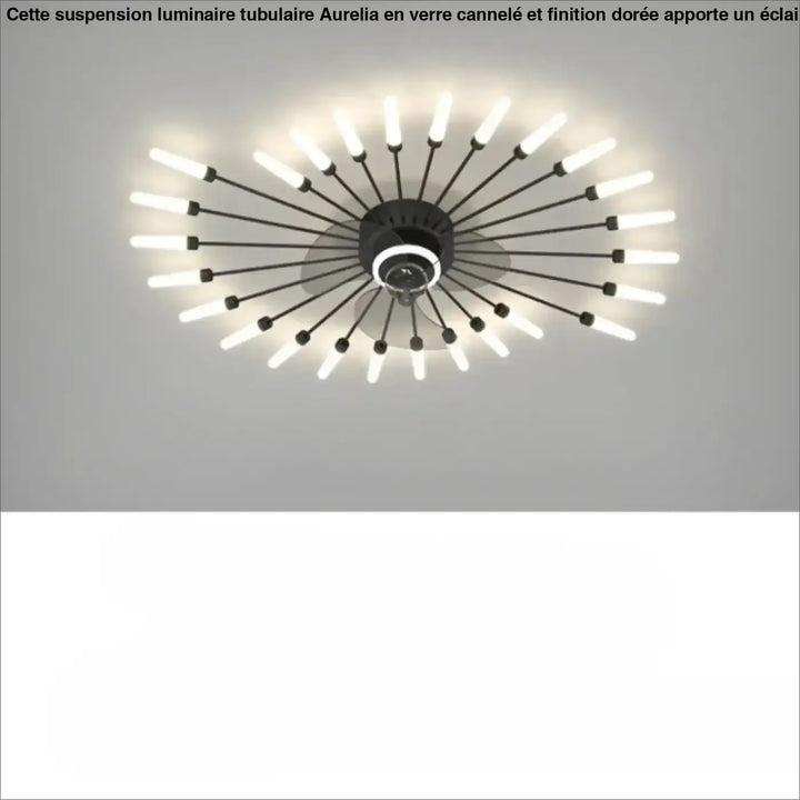 Luminaire plafonnier axiel ventilateur de plafond noir moderne avec led integrées et design radial élégant sont-elles incluses