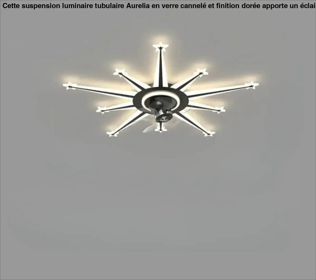 Luminaire plafonnier axiel avec bras noirs et blancs modernistes étoiles irradiant une douce lumière ambiante sont-elles incluses