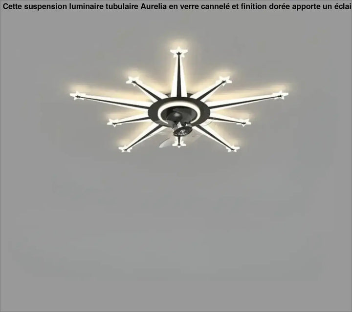 Luminaire plafonnier axiel avec bras noirs et blancs modernistes étoiles irradiant une douce lumière ambiante sont-elles incluses