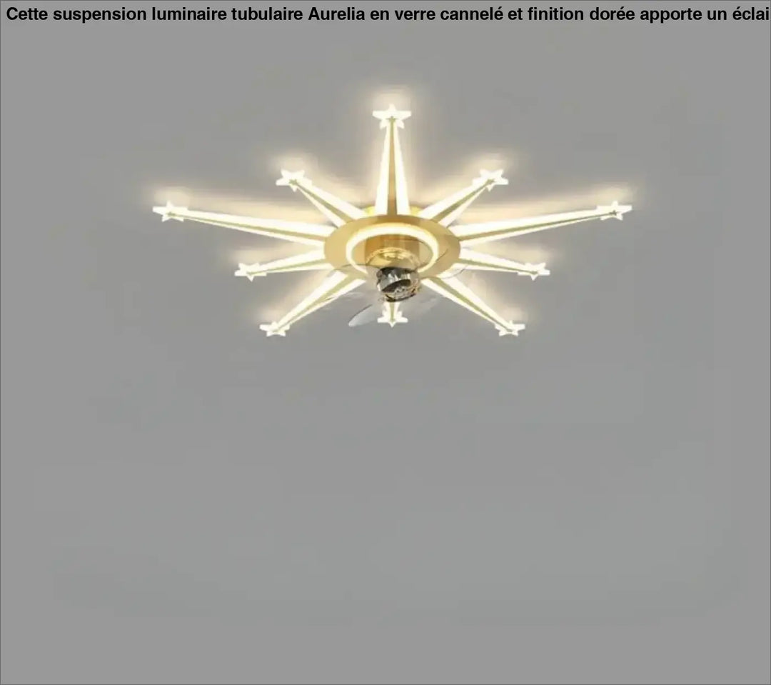 Luminaire plafonnier axiel avec ventilateur étoile doré dont les bras sont éclairés sont-elles incluses