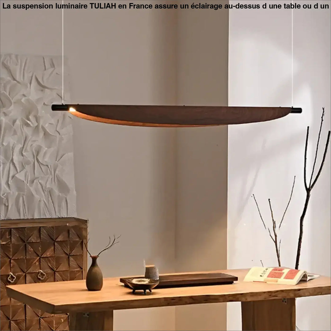 Suspension luminaire fer moderne design contemporain marron
