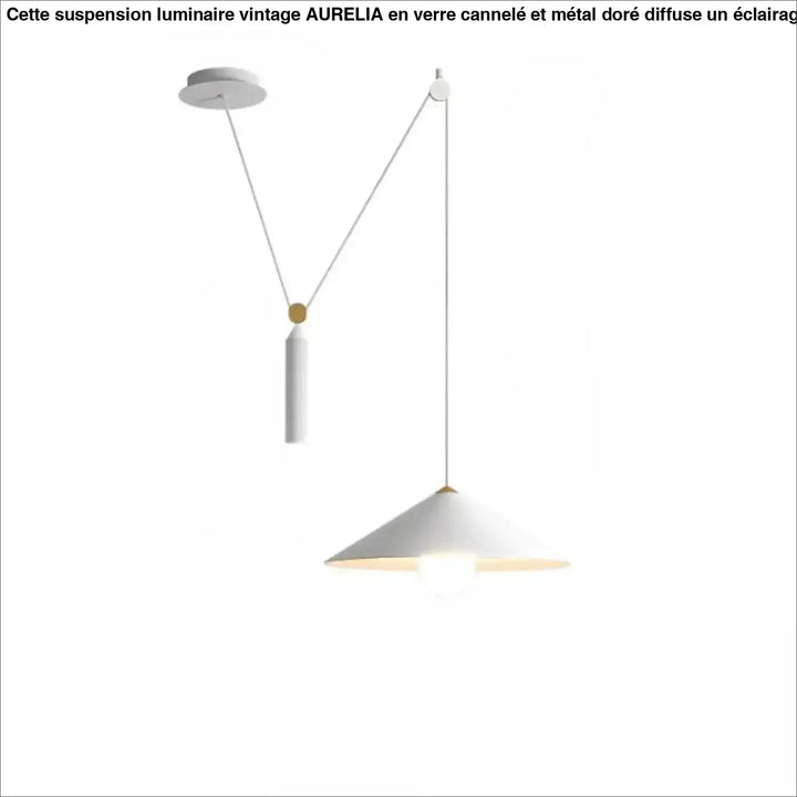 Suspension luminaire jax minimaliste blanc avec abat-jour conique or et bras réglable en métal moderne