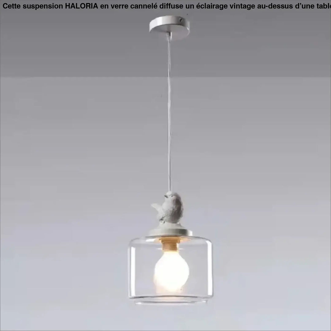 Suspension luminaire vintage verre cannelé avec abat-jour cylindrique transparent et oiseau en céramique au-dessus d’une table
