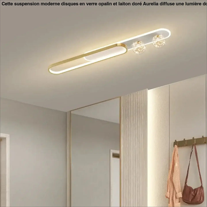Gold Simple Style LED Ceiling Lights Metal Lighting Household Lamps Living Room Bedroom Lustres Luminaria Nordic