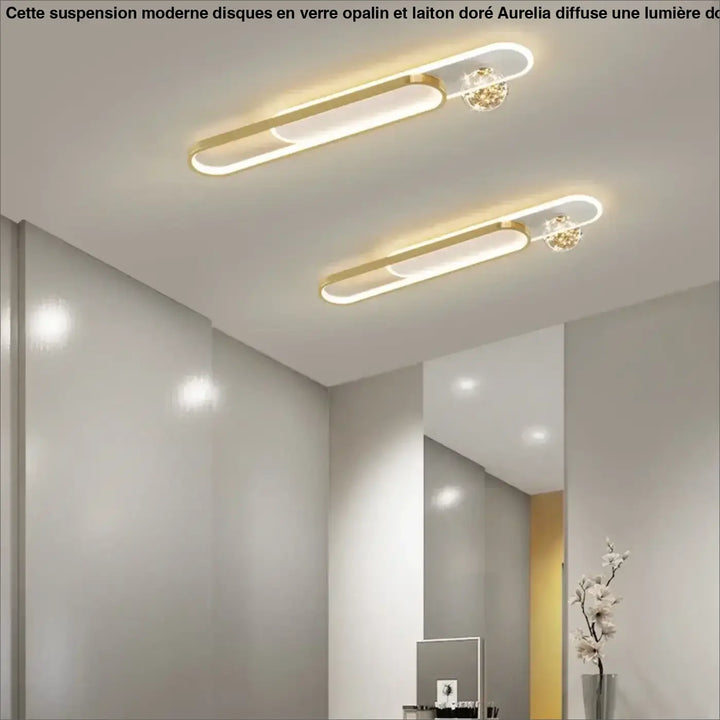 Gold Simple Style LED Ceiling Lights Metal Lighting Household Lamps Living Room Bedroom Lustres Luminaria Nordic