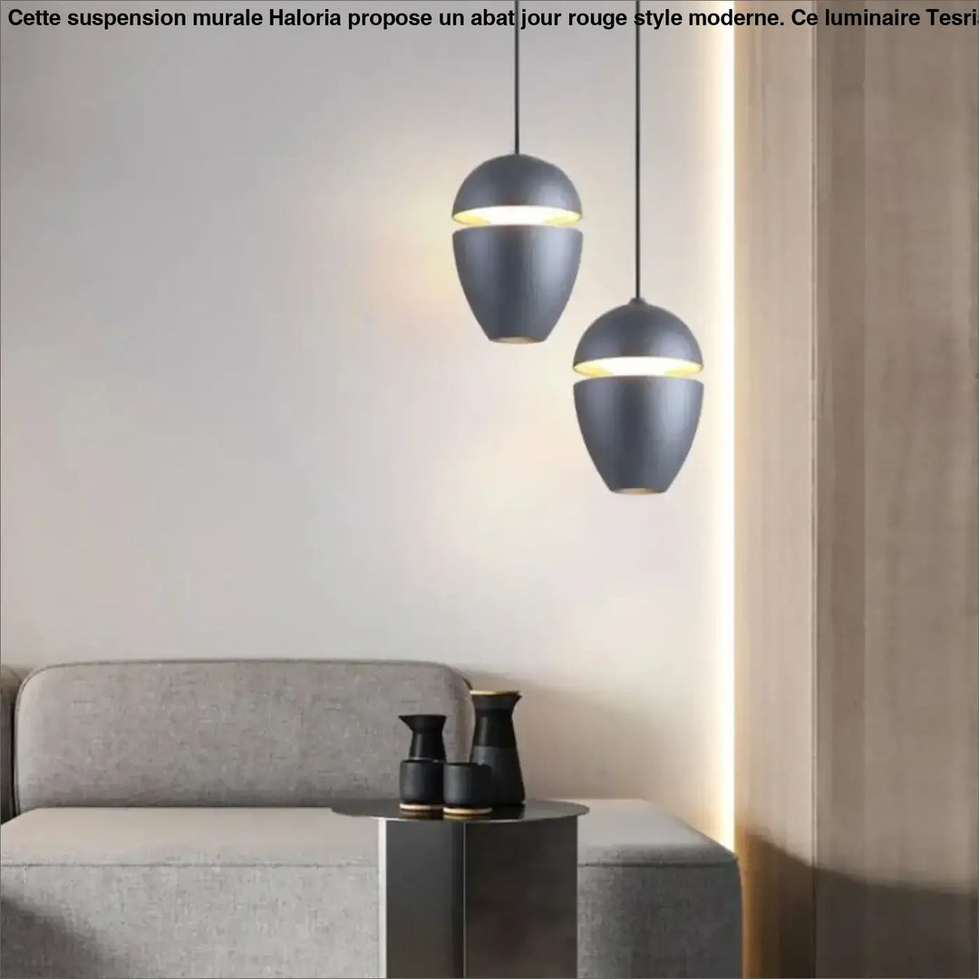 Deux suspensions luminaires ekorn en noir mat au style moderne en forme de goutte pour un éclairage élégant plus quun simple luminaire