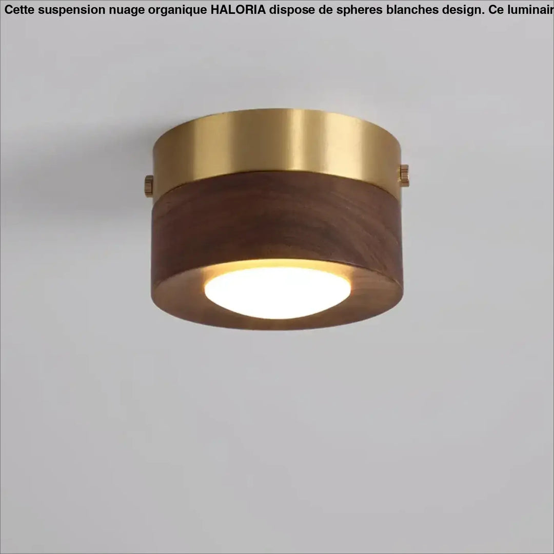 corridor lamp Walnut ceiling lights ash wood led lights for room living room Spotlights Porch light home decor lighting