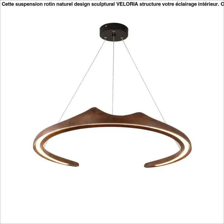 Suspension LED Design Bois Sculptural Moderne Élégance Unique

