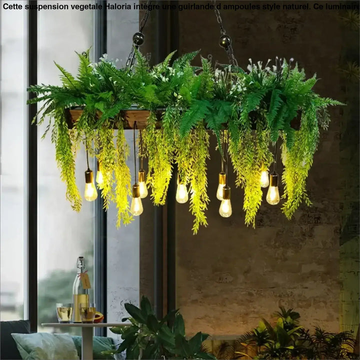 Suspension végétale avec guirlande d’ampoules style naturel cosy

