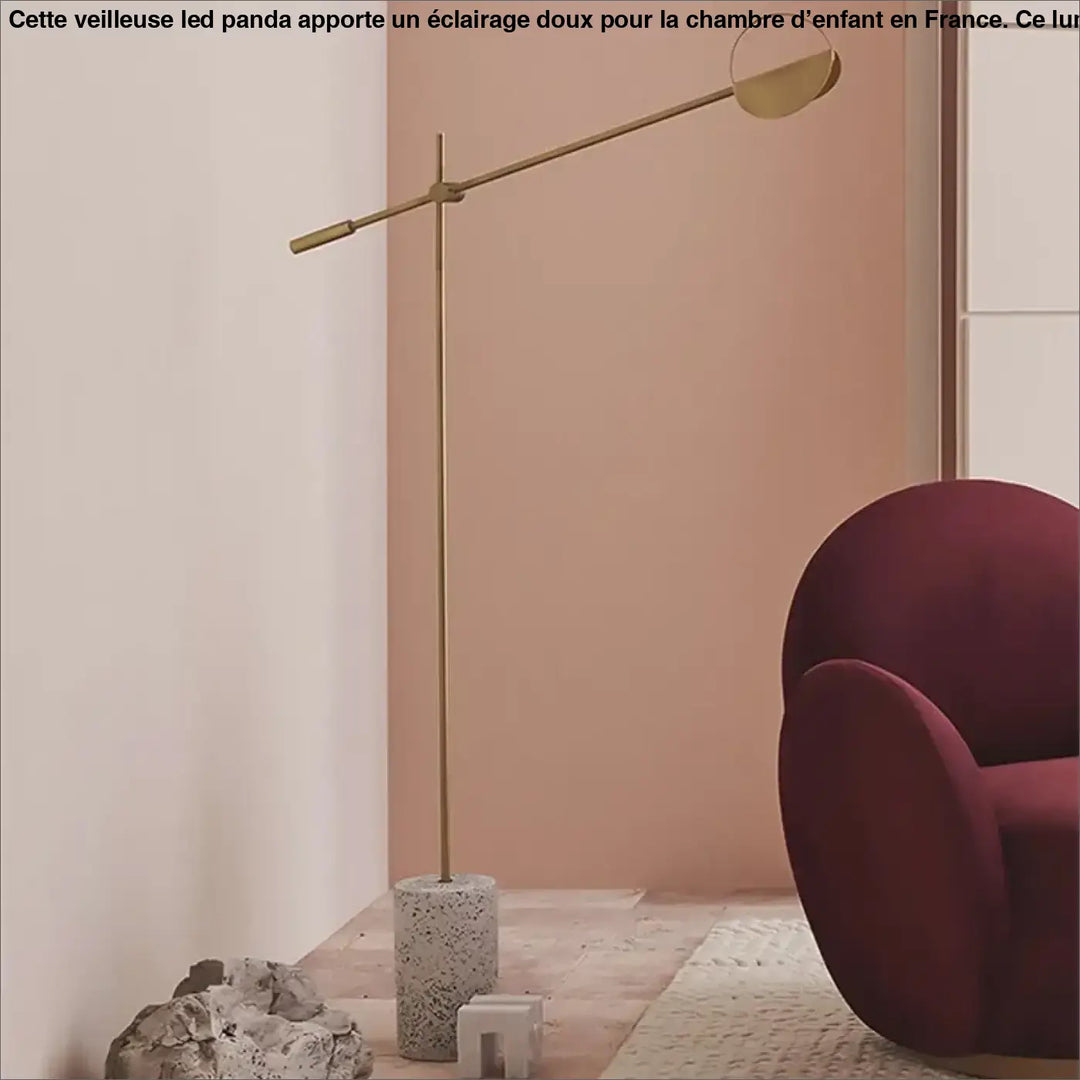 Lampadaire minimaliste noir design avec bras long orientable élégant
