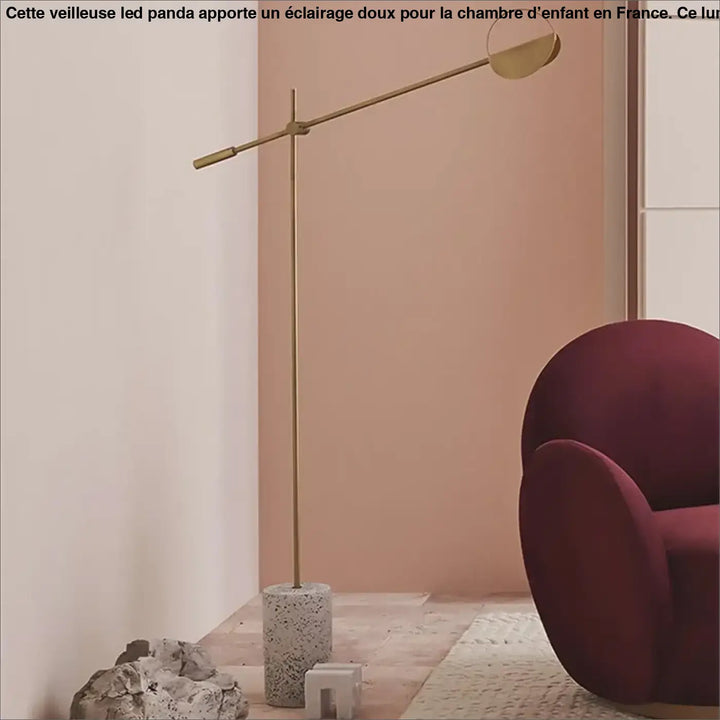 Lampadaire minimaliste noir design avec bras long orientable élégant