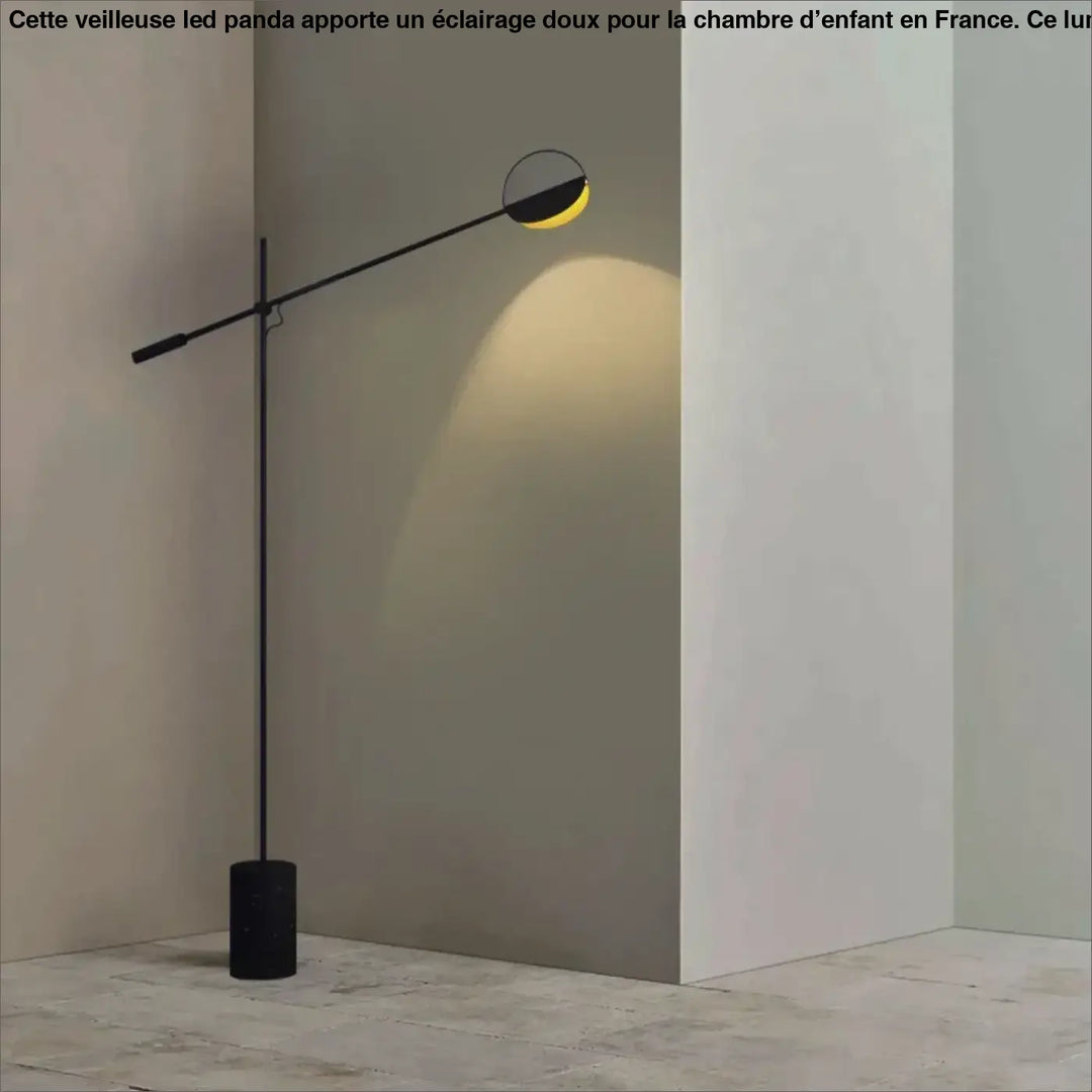 Lampadaire minimaliste noir design avec bras long orientable élégant