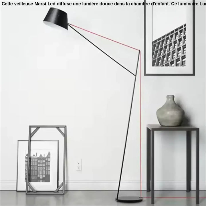 Lampadaire minimaliste noir à bras long orientable moderne