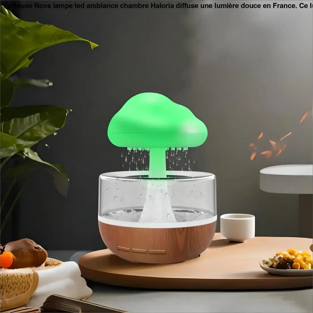 Oil Diffuser Night Light | Adult and Children Night Lights